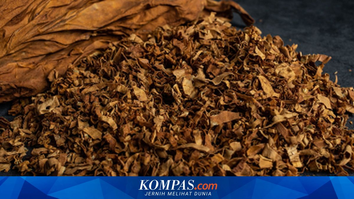 Purbaya Sets Tobacco Excise Revenue-Sharing Fund for 2026 at Rp 3.28 Trillion, East Java Receives the Largest Share