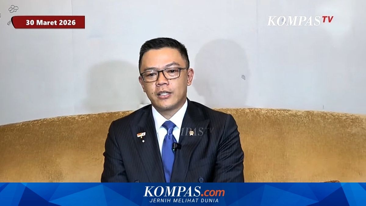 Foreign Minister States One TNI Soldier in Coma Due to Israeli Attack in Lebanon, Two with Minor Injuries