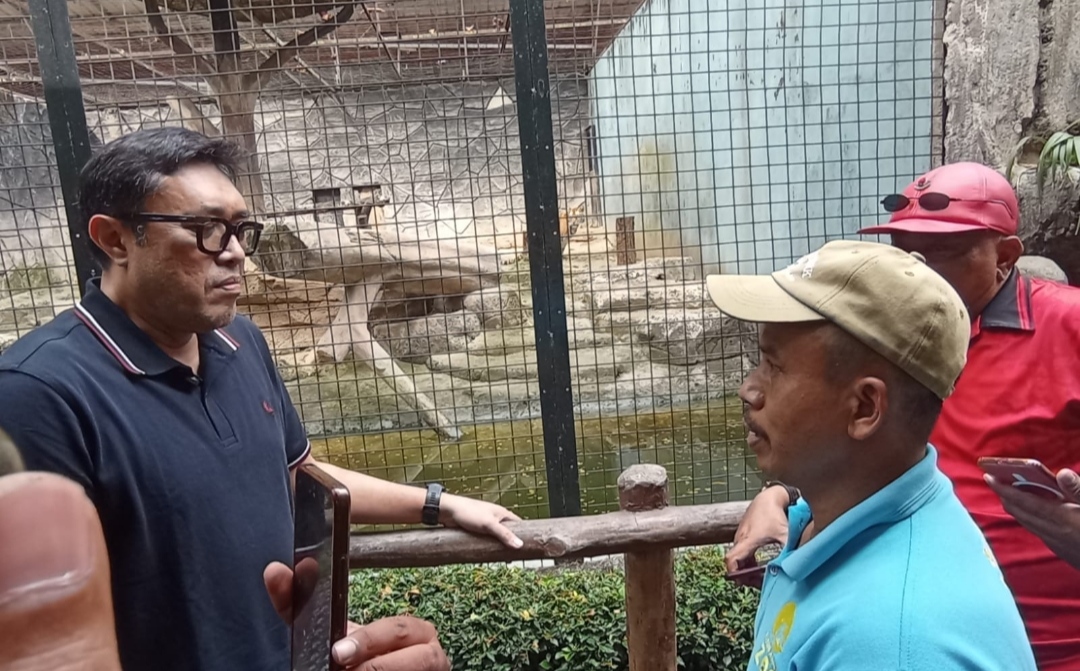 Bandung Zoo Management Must Be Appointed Immediately