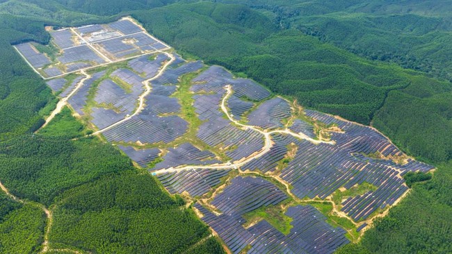 Prabowo Targets Construction of 100 Gigawatt Solar Power Plant by 2029