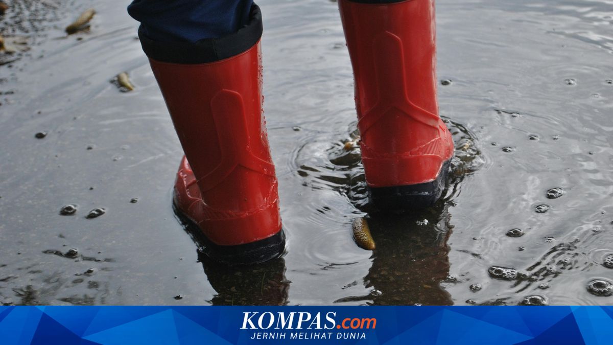 Flood Update in Jakarta: Only 1 RT in Cilandak Remains Submerged