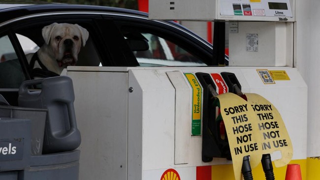 Portrait of Empty Fuel Pumps at Petrol Stations in Australia's Wealthy Neighbour Amid US-Iran War Impact