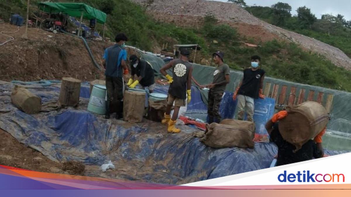 Illegal Gold Mine Sealed by KPK Reactivates, NTB ESDM Department Reports to Central Government