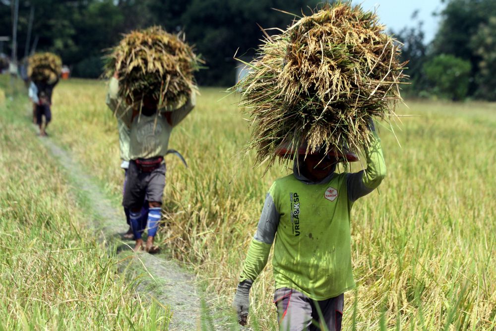 East Java's DPKP Prepares Three Strategic Steps to Face Prolonged Dry Season