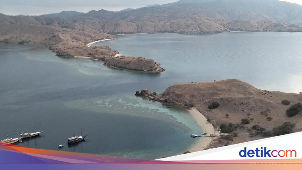 Visitor Numbers to Komodo National Park Limited to 365,000 People per Year
