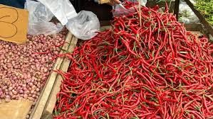 Significant Drop in Red Chilli Prices in Padang Panjang, Several Commodity Prices Also Ease