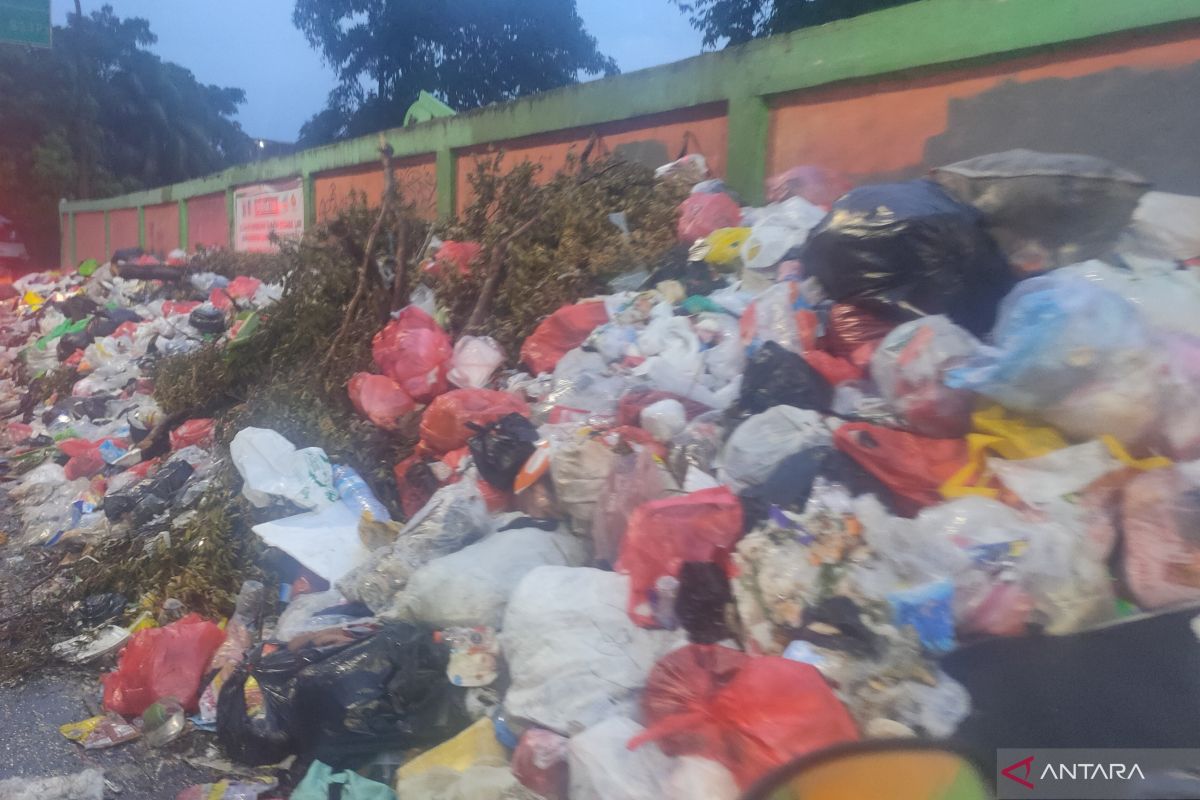 West Jakarta suggests residents raise catfish to help tackle waste problem