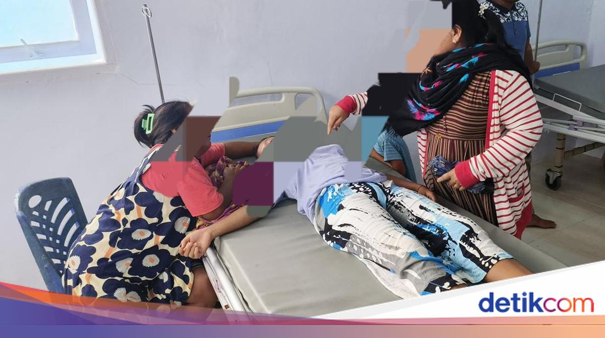 Poisoning Case: Commission IX of DPR Urges Local Governments to Regulate Ban on Dog and Cat Meat