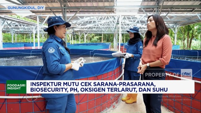 Video: Commitment of the KKP Quality Agency in Ensuring the Quality of Fishery Products