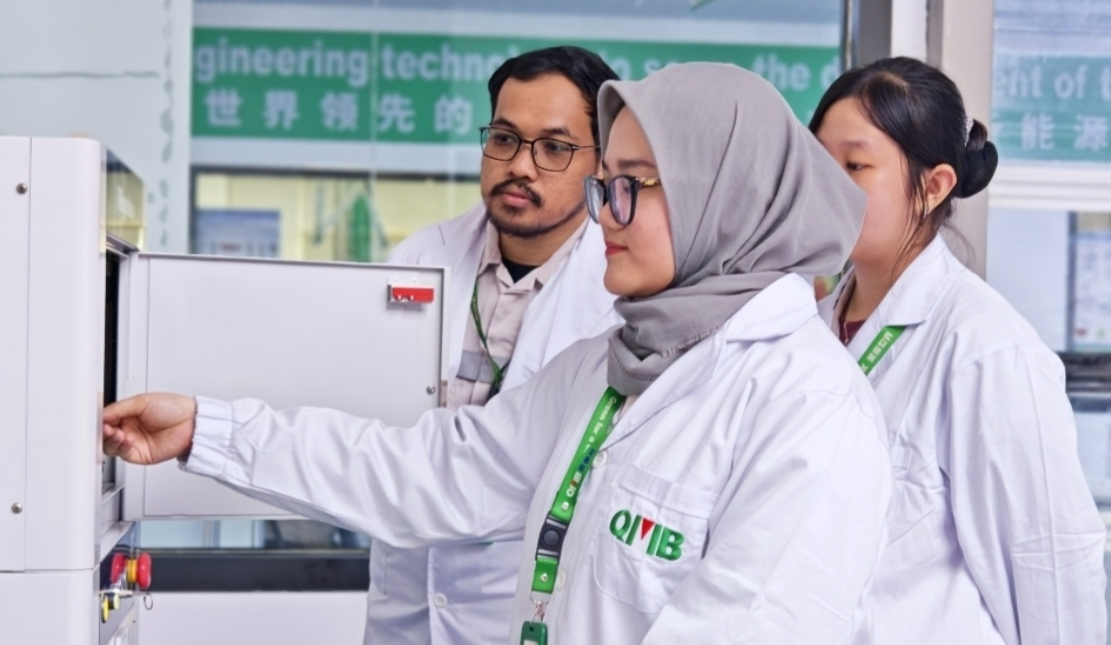 Analyst: Success of Nickel Downstreaming Determined by Technology Transfer