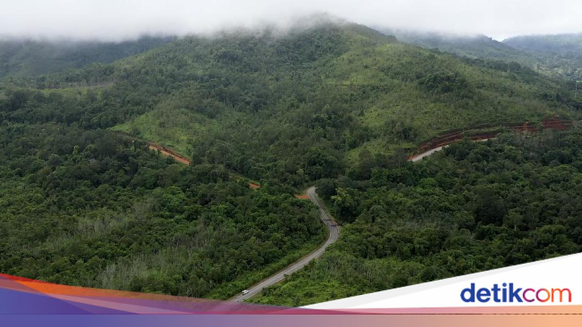 MBG, Forest Restoration and National Nutrient Resilience