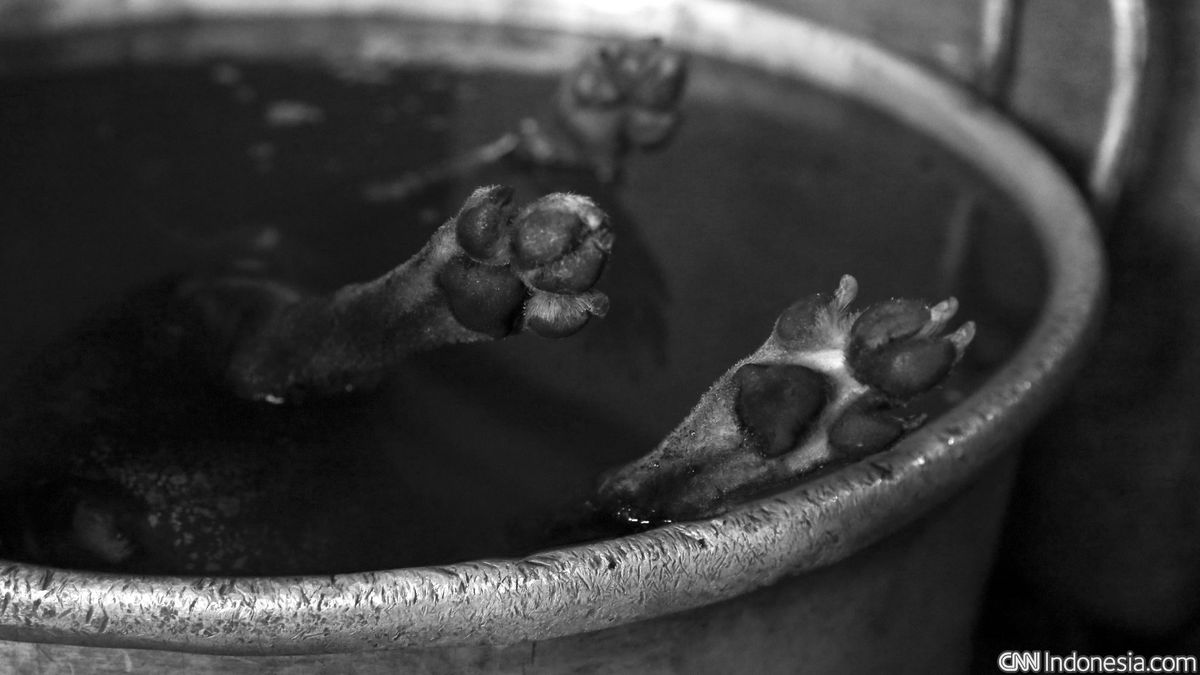 Youth to Toddlers in Mamuju Poisoned After Consuming Dog Meat