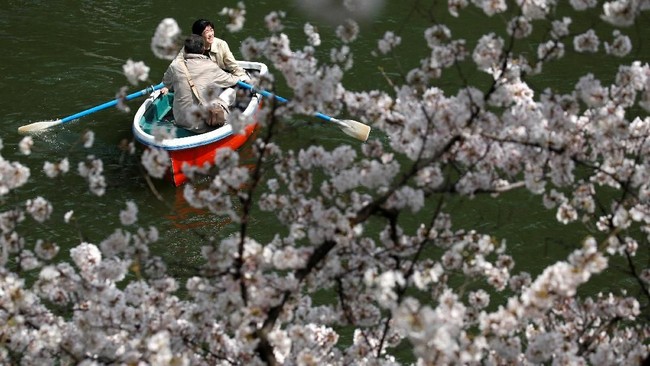 Japan Visa Fees to Increase from 1 April 2026, Check the New Prices