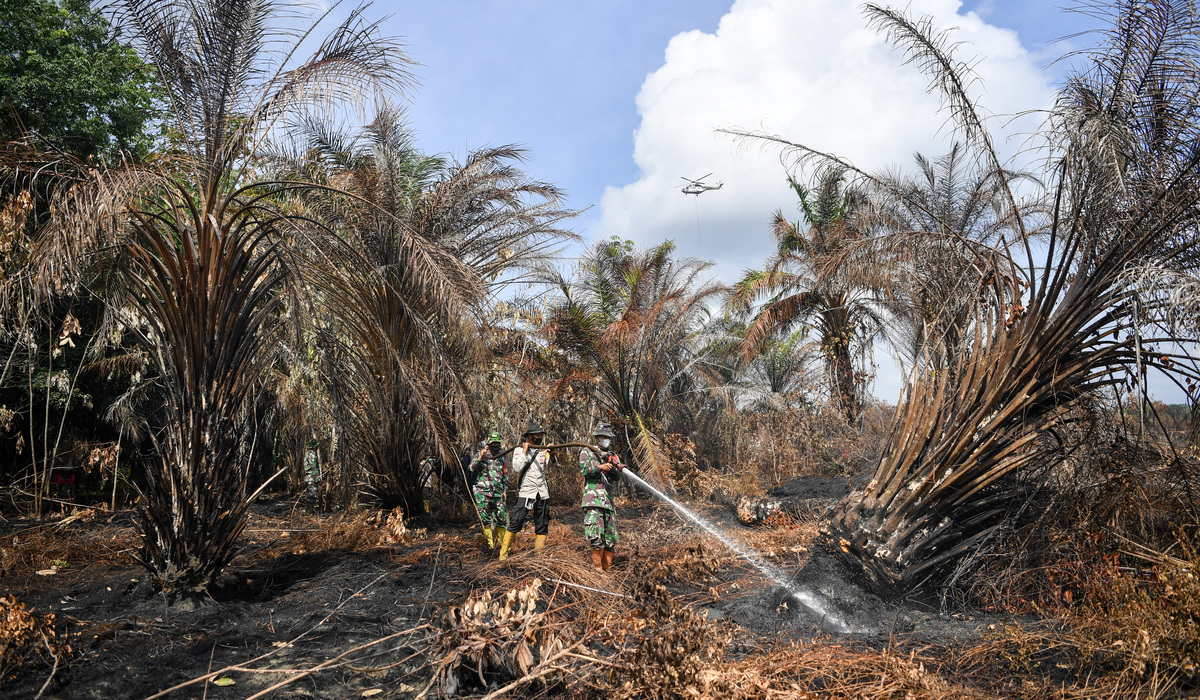 UGM Expert Warns of Increased Risk of Forest and Land Fires During the 2026 Dry Season