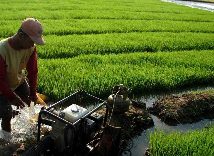 KTNA Calls for Drought Mitigation: Optimise Water Pumps and Strengthen Synergy