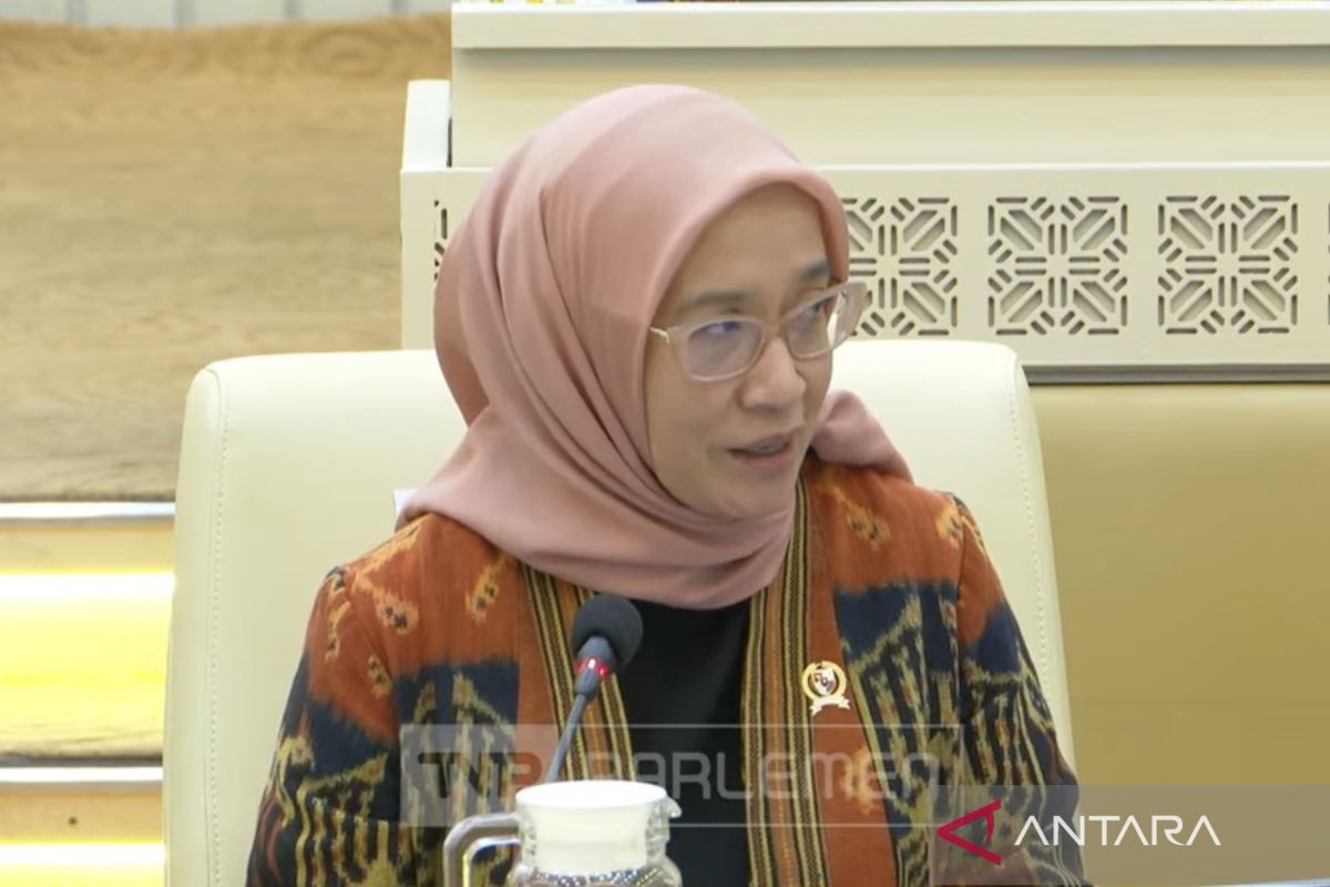 Minister of PANRB: PPPK Cannot Be Dismissed if Contract Has Not Expired