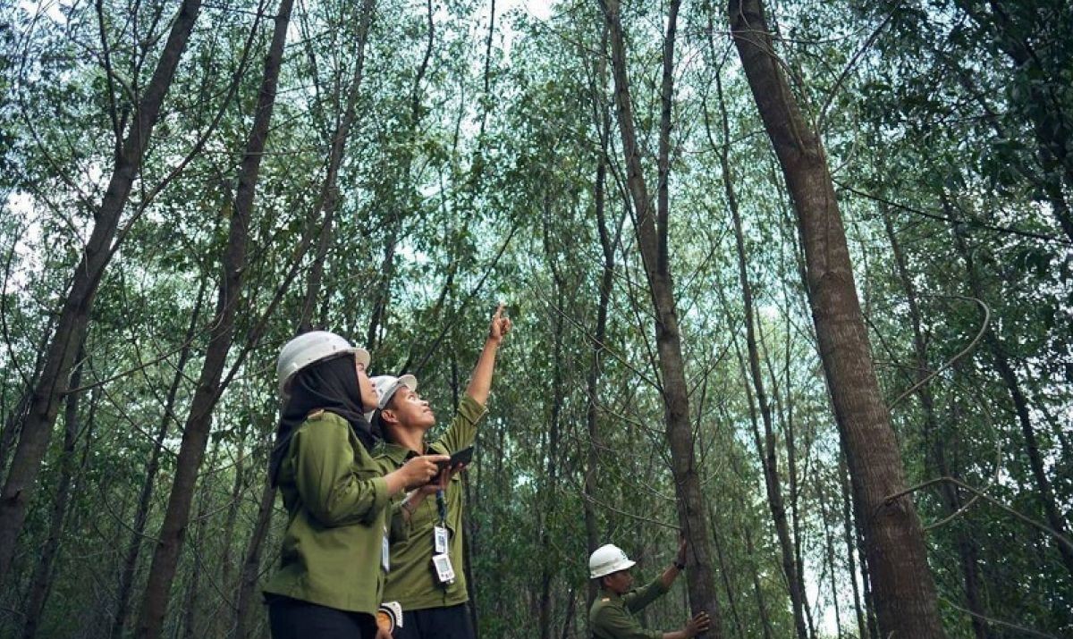 West Kalimantan Promotes Sustainable Green Economy Through Multi-Stakeholder Collaboration