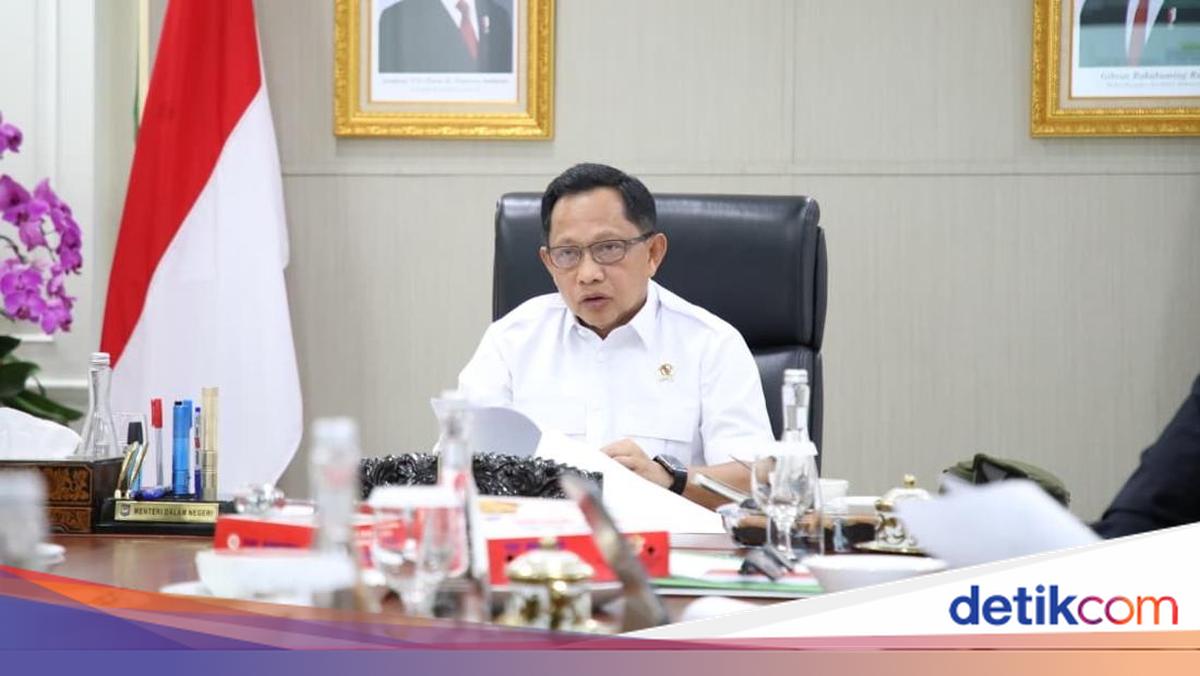 Home Affairs Minister Issues Circular Regulating WFH-WFO for Local Government Civil Servants