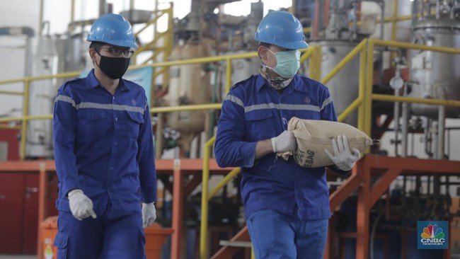 Get Ready: Indonesia to Soon Have a Rare Earth Minerals Processing Plant