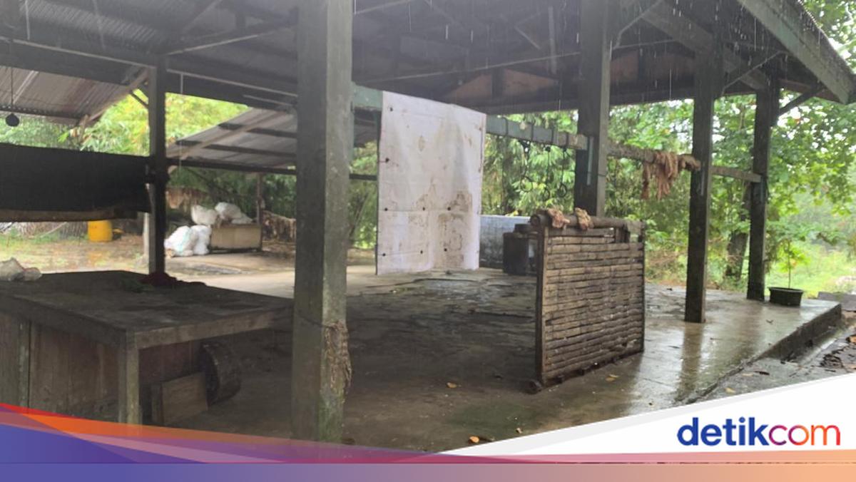 Neglected Animal Slaughterhouse for 20 Years, Improvement Proposals Ignored