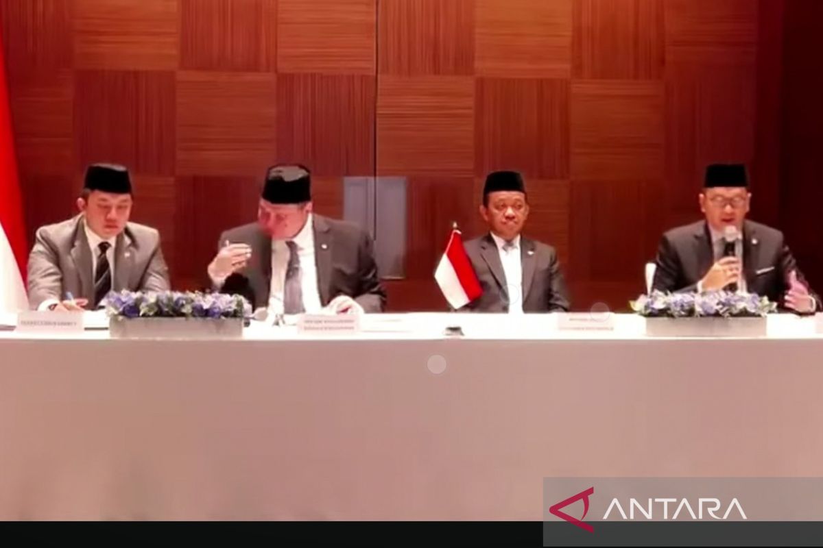 Indonesia to boost renewable energy investment to shield economy