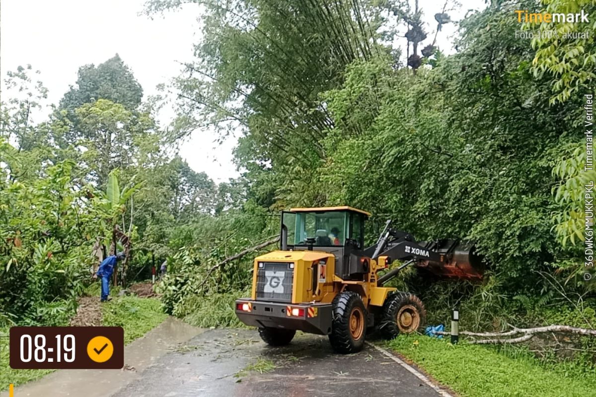 Connecting road between Padang and Medan closed due to landslide in Palupuh, Agam