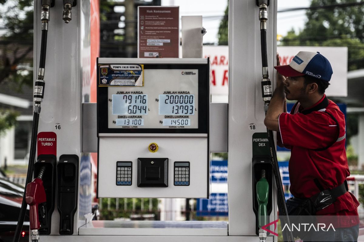 Indonesia's economy, fuel supply remain stable amid tensions: government