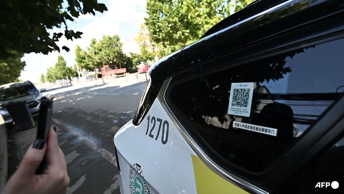 Chinese robotaxis stall in apparent malfunction: Police