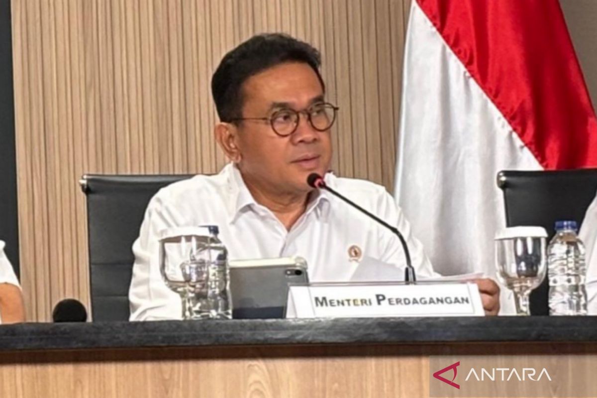 Trade Minister: Vehicle Sales Rise, Indicating Strong Purchasing Power ...