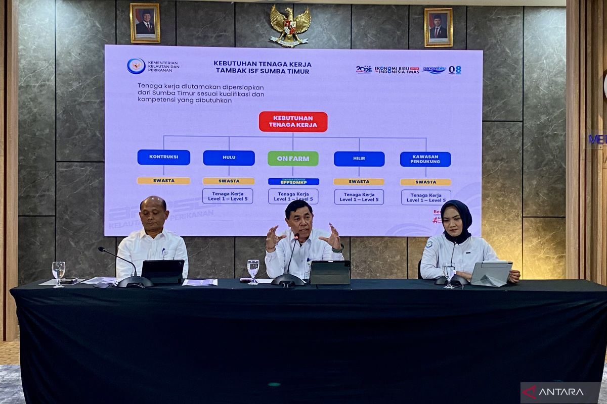 Waingapu shrimp exports projected to reach Rp4.85 trillion annually