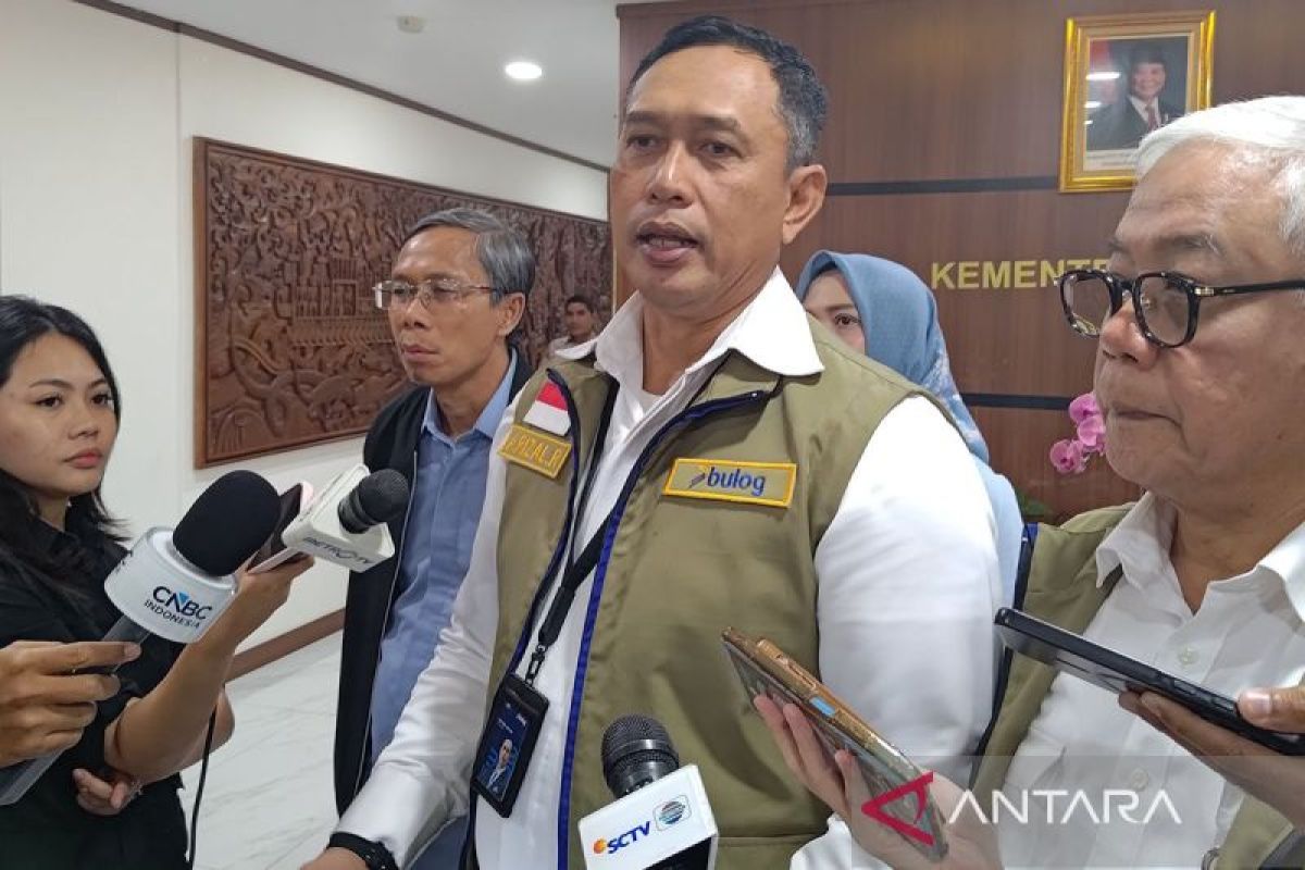 Bulog to Build Modern Facilities to Strengthen Post-Harvest Processing