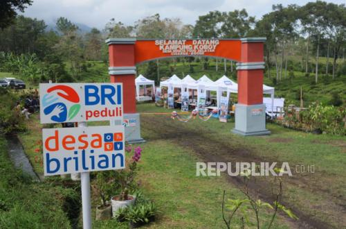 Hendrosari Village in Gresik Grows Through BRI's Desa BRILiaN Programme