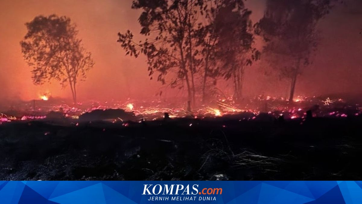 MP Urges Government to Be More Vigilant Against Forest Fires Early On