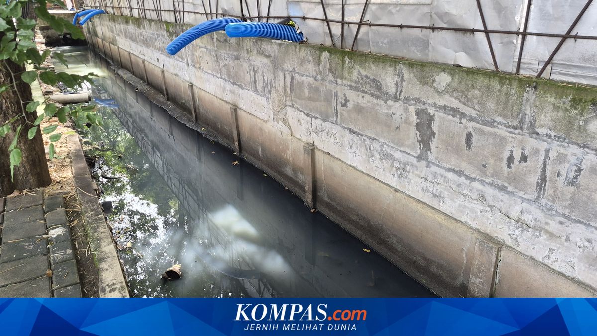 Ancol Canal Emitting Sewage Odour Similar to Human Waste, Evidence of Ineffective Law Enforcement