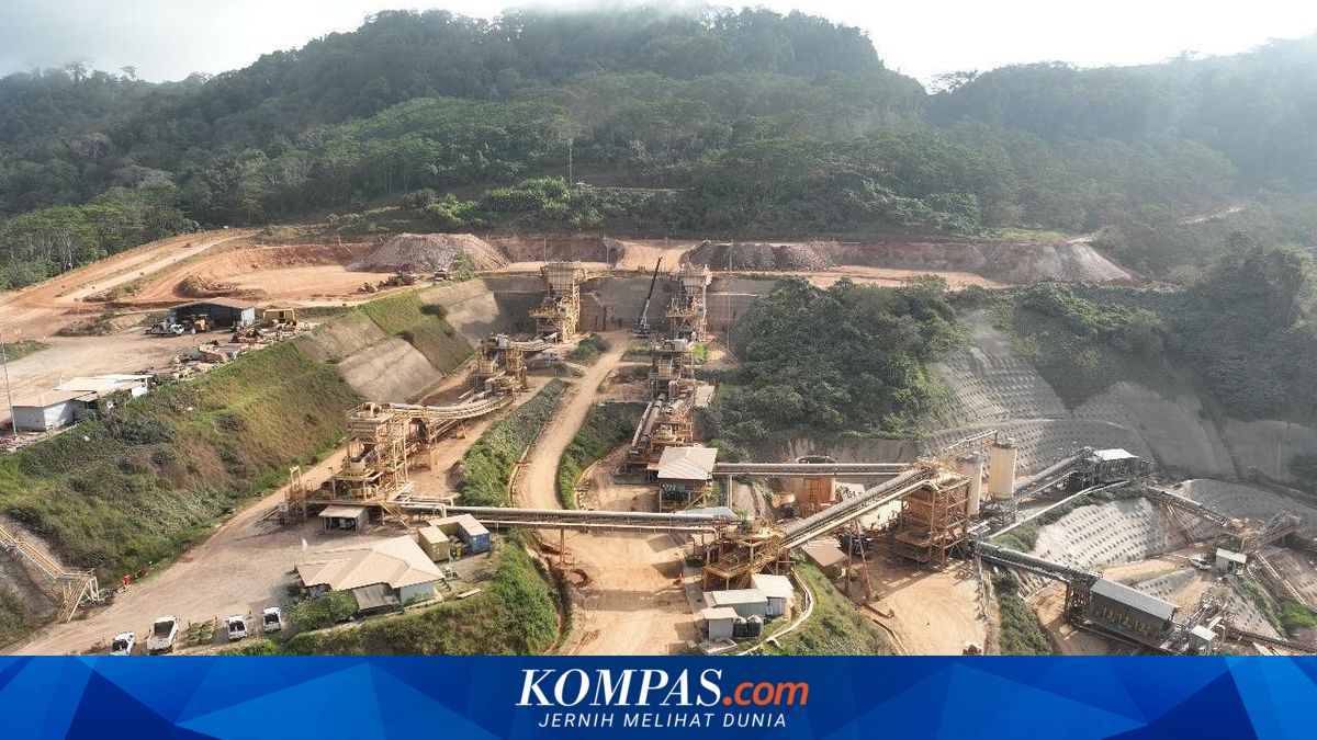 Merdeka Copper Gold (MDKA) Reports Revenue of Rp 32.06 Trillion, Down 15.62% in 2025