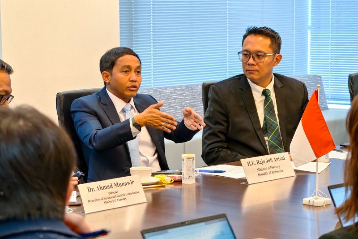 Indonesia and Japan to enhance cooperation in forestry and carbon trading