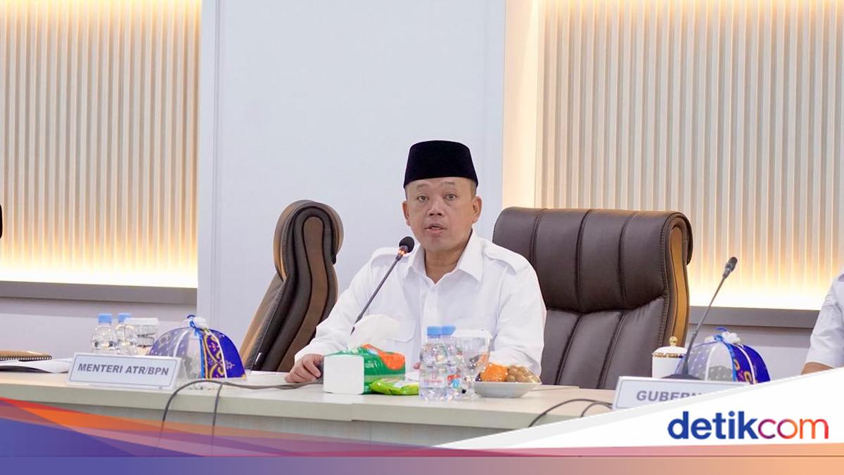 Nusron Limits Conversion of Paddy Fields to Ensure Food Security