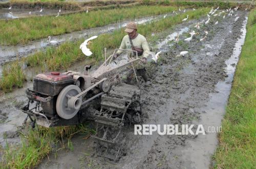Indonesian Army Creates 553 Hectares of Rice Fields in East Kutai to Strengthen Food Security