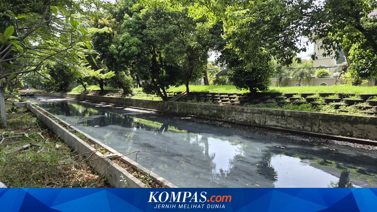 Ancol Canal Polluted with Wastewater and Human Faeces Odour: How the Government is Addressing It