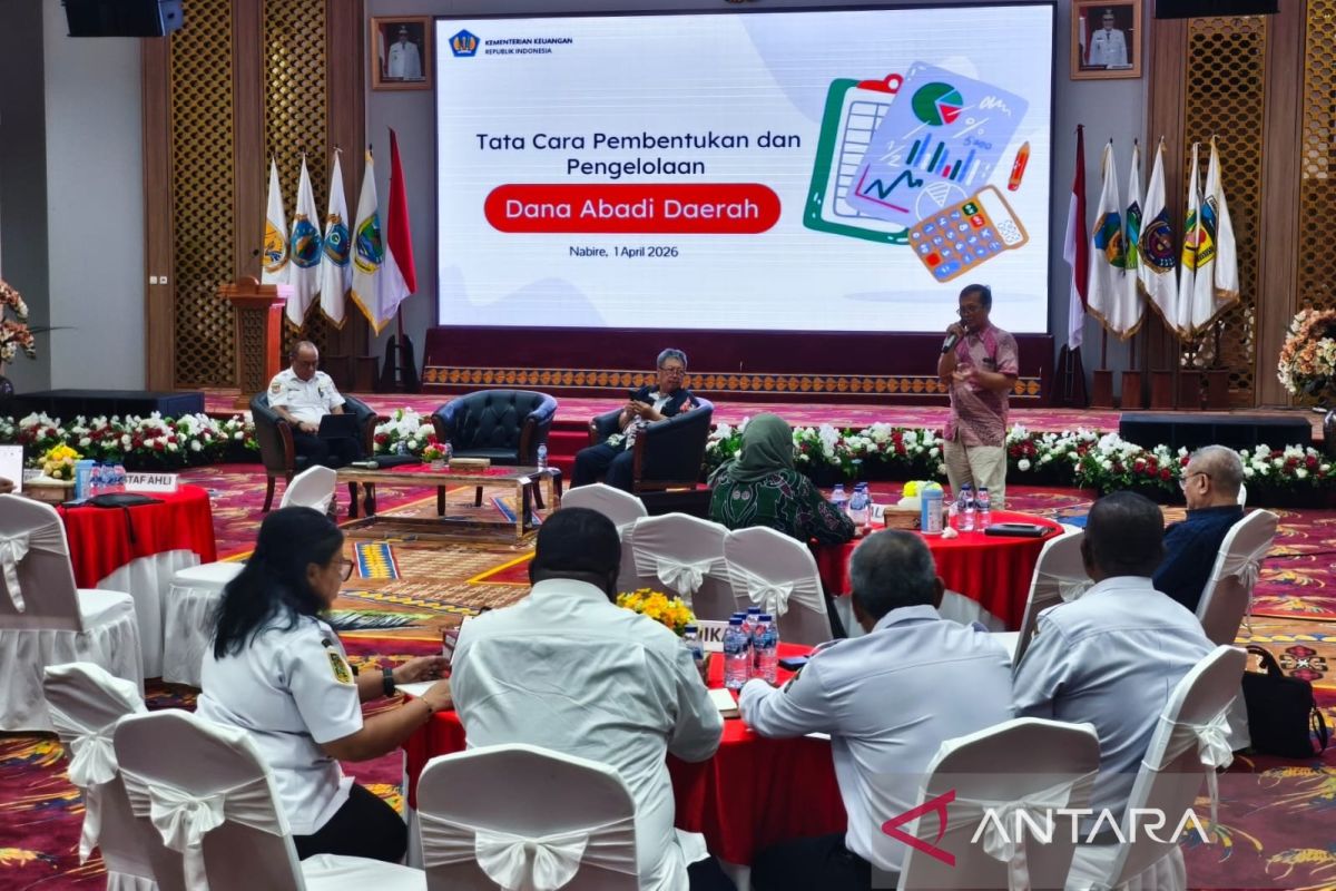Finance Ministry urges Central Papua Provincial Government to establish regional endowment fund