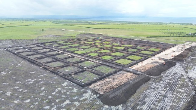 Images of Giant Shrimp Pond in Indonesia Spanning 2,150 Football Fields