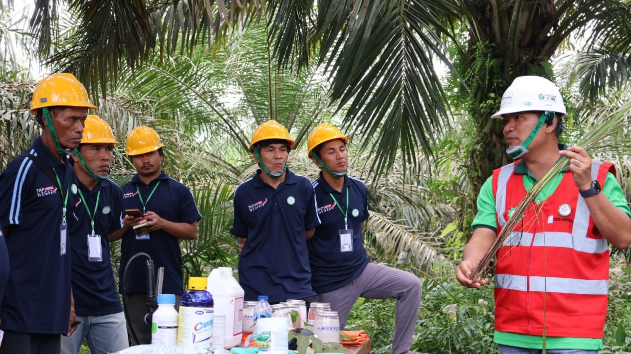 Triputra Agro Persada's Strategy to Boost Production Quality and Economic Well-being of Palm Oil Farmers