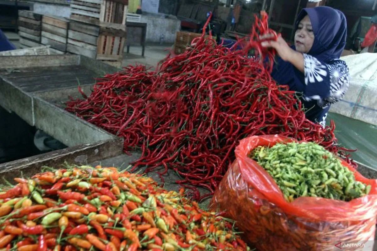 PIHPS: Red Chilli Price at Rp91,700/kg, Chicken Meat at Rp39,800/kg