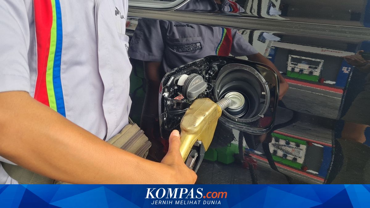 Budget Risks Greater if Fuel Prices Are Held Back, Government Needs to Control Consumption