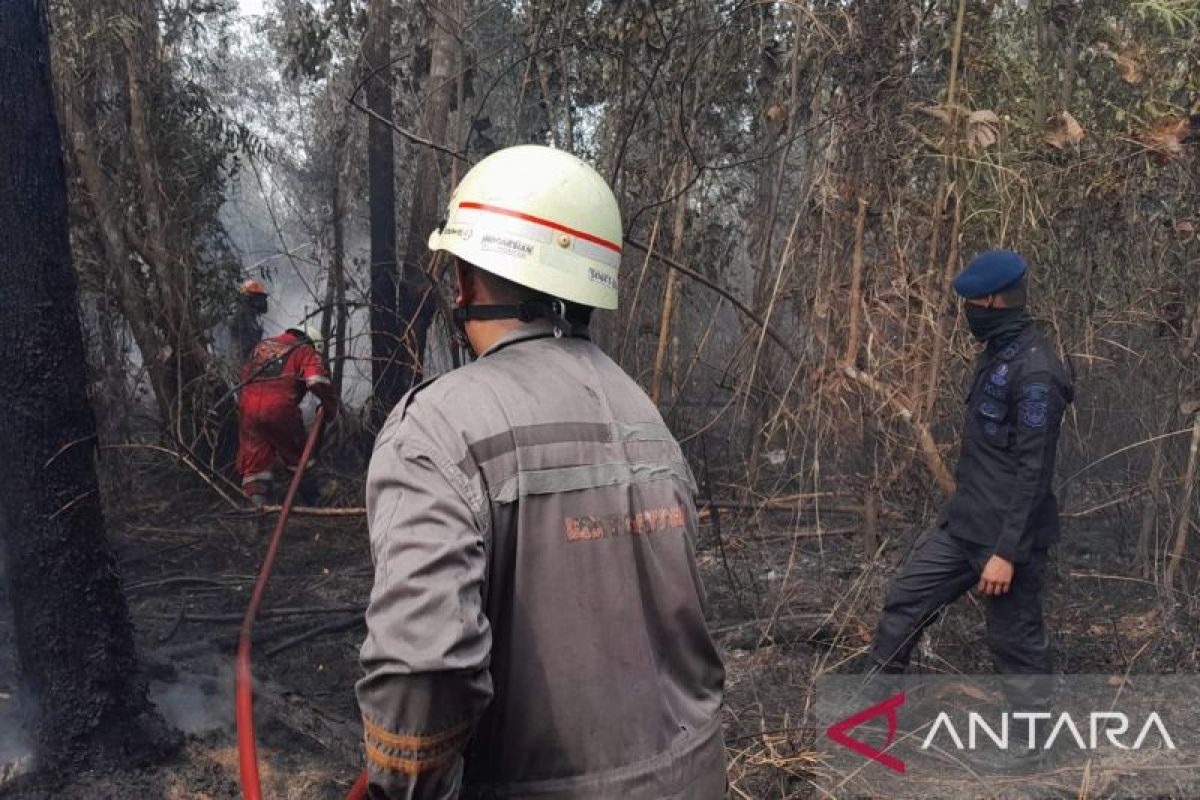 Forest and Land Fires Spread in Riau Islands, Police Investigate Causes