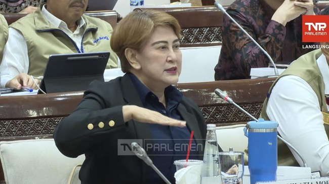 Damri CEO Complains to DPR About Majority of Pioneer Buses Being Old