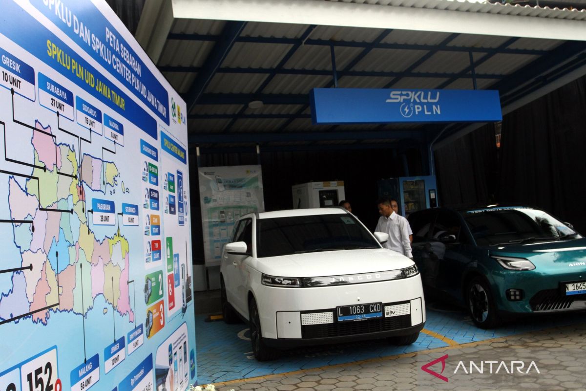 Analyst deems EVs the right choice for building energy independence