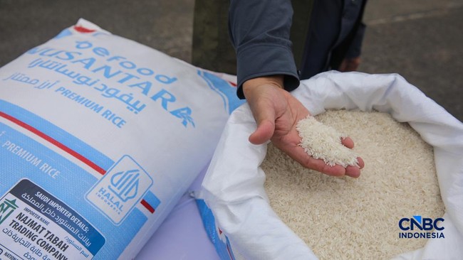 Bulog Rice 2 Kilogram Set to Launch, Here's the Estimated Price