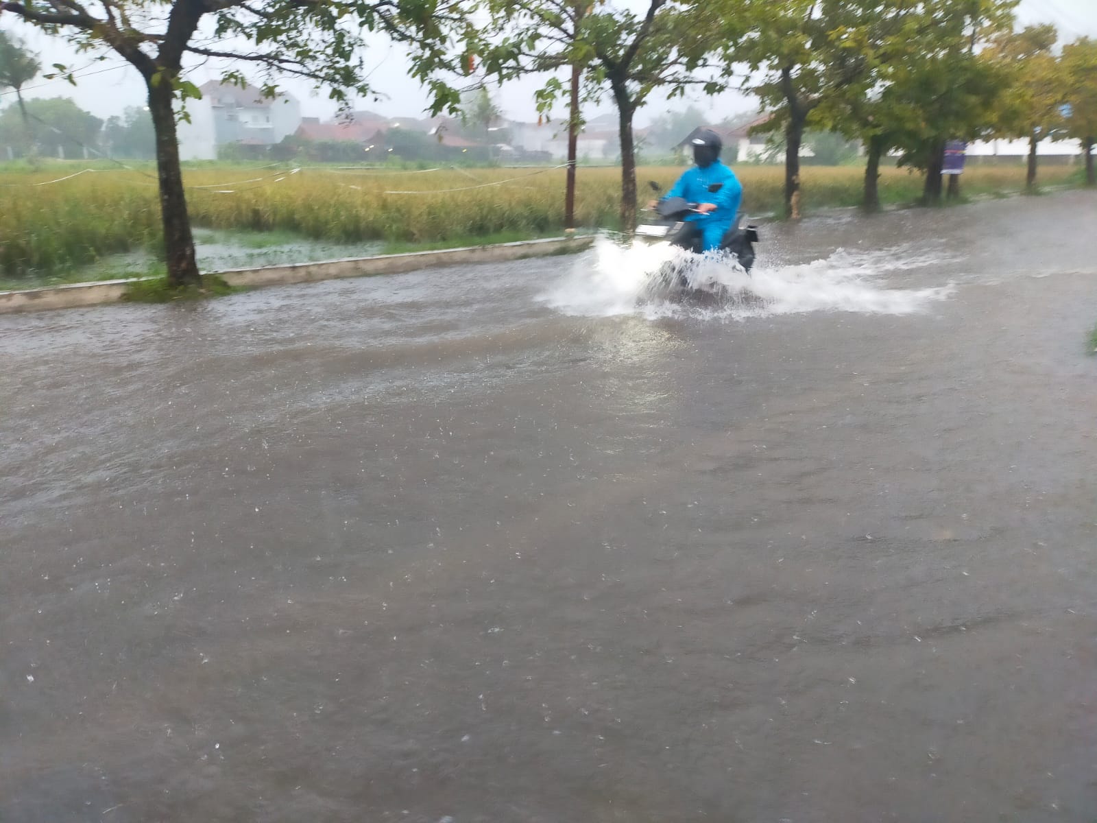 Poor Drainage Causes Flooding on Protocol Roads in Tasikmalaya