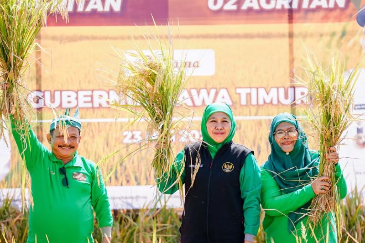 Khofifah instructs regional heads to maintain agricultural production